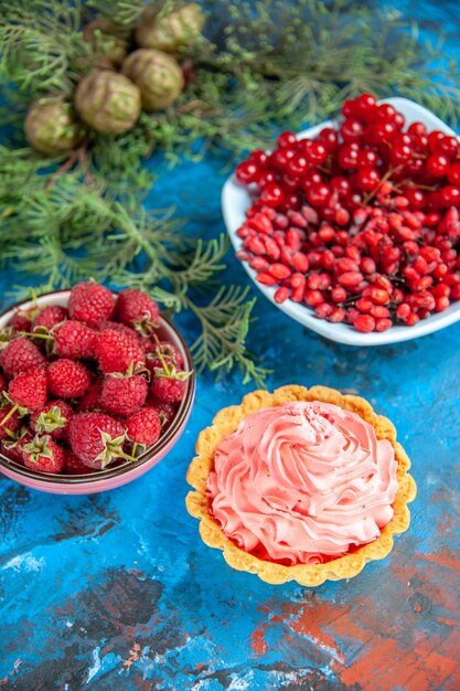 Bottom view fresh raspberries currants and barberries in bowls pine tree branch on blue table