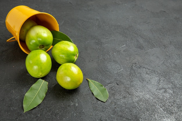 Bottom view green tomatoes bay leaves and overturned yellow bucket on dark background