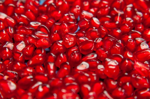 Bottom view pomegranate seeds full screen image