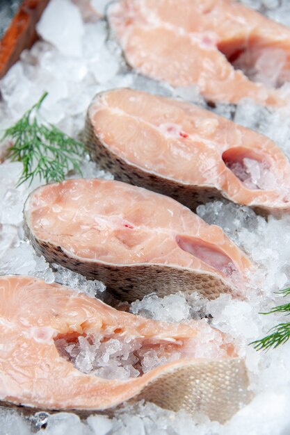 Bottom view raw fish slices with ice