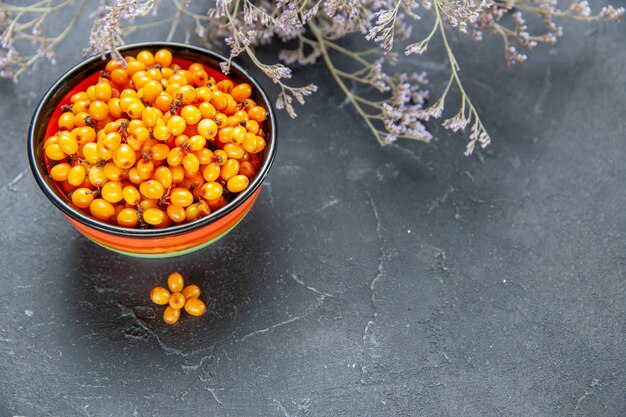 Bottom view sea buckthorn in bowl dried flower branch on dark red surface free place