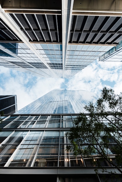 Bottom view skyscrapers on sunny day