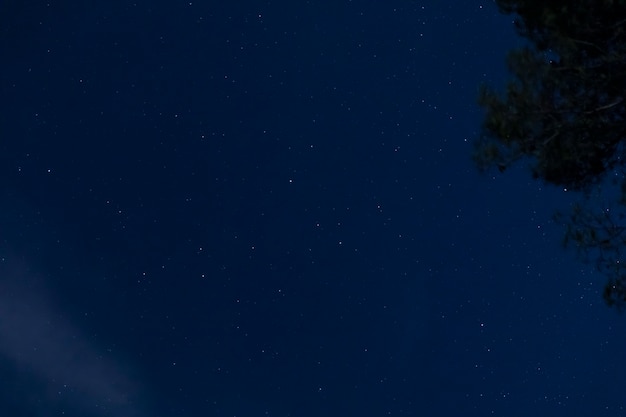 Бесплатное фото Вид снизу звездное небо