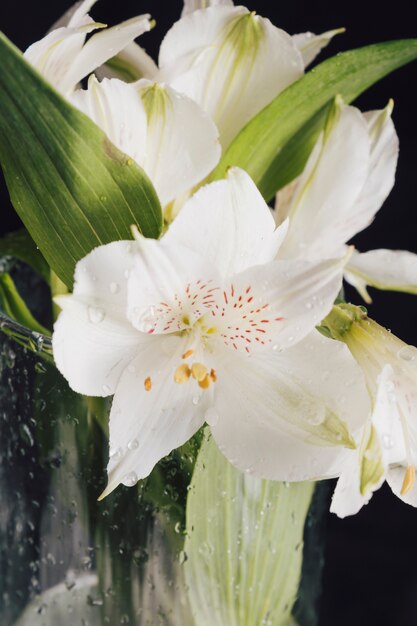 Bouquet of beautiful fresh light blooms in vase