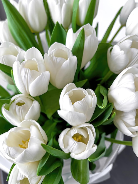아름 다운 흰 튤립 꽃다발을 닫습니다.