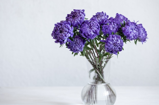 A bouquet of blue chrysanthemums in a glass vase on a white background, copy space.