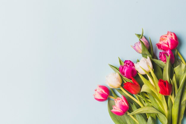 Bouquet of bright tulips