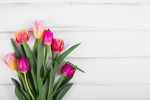 Bouquet of colorful tulips