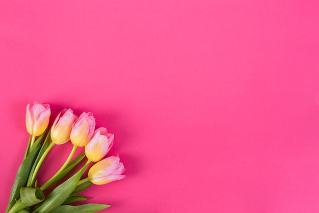 Bouquet of colorful tulips