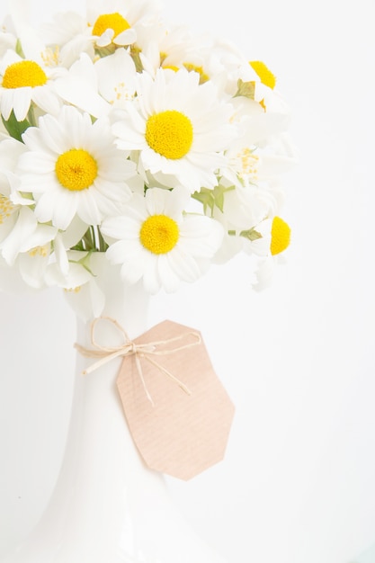 Bouquet of daisies.