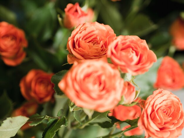 繊細なバラの花束