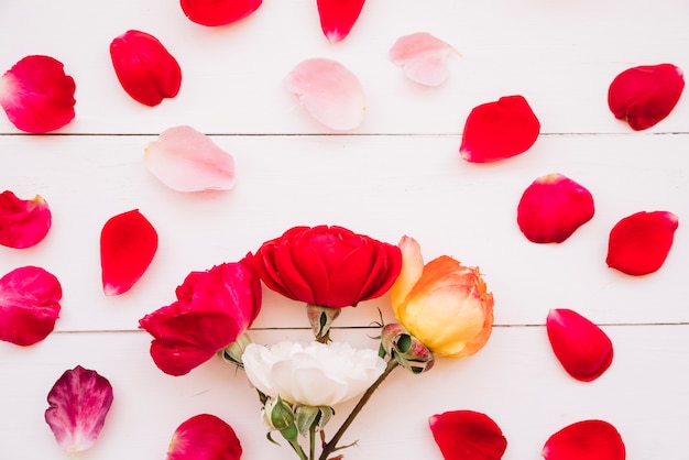 Bouquet of flowers near red petals