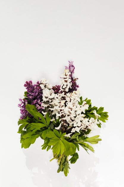 Bouquet of flowers in a white background