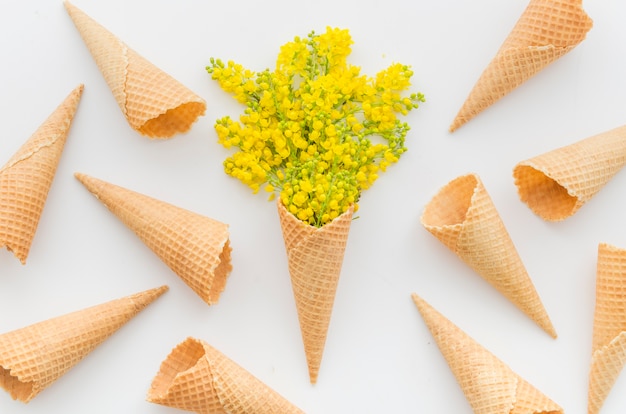 Bouquet of flowers with cornet