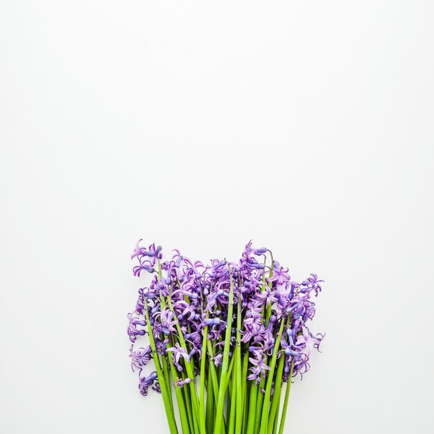 Bouquet of flowers