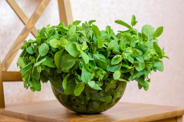 去甲醛植物