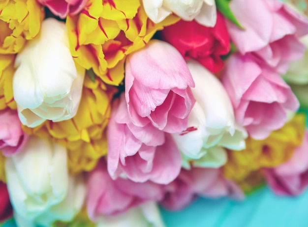 Bouquet of fresh multicolor tulip flowers on old blue wooden table