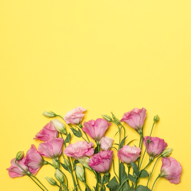 Bouquet of fresh rose blooms