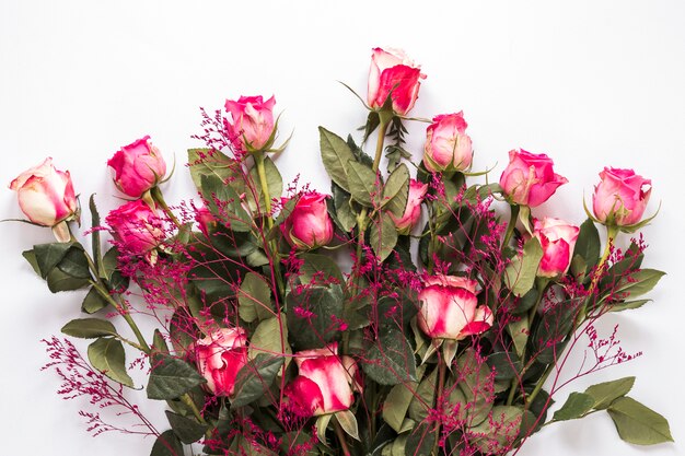 Bouquet of fresh roses with green leaves and decorative plant