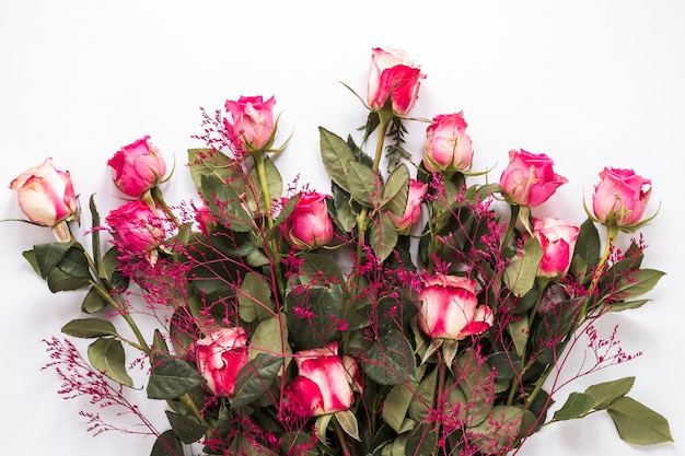 Букет свежих роз с зелеными листьями и декоративным растением