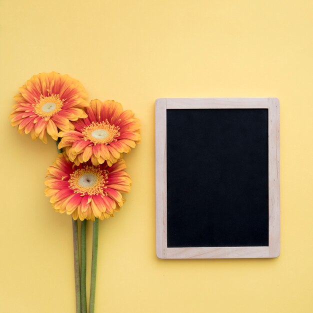 Bouquet of gerberas near blackboard