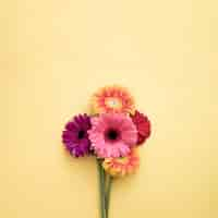 Free photo bouquet of gerberas