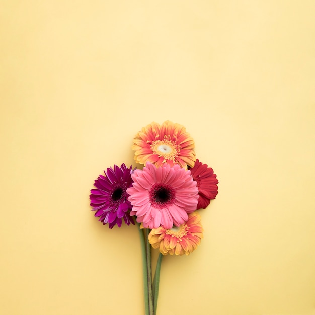 Bouquet of gerberas