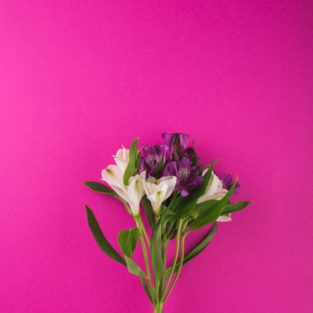 Bouquet of irises