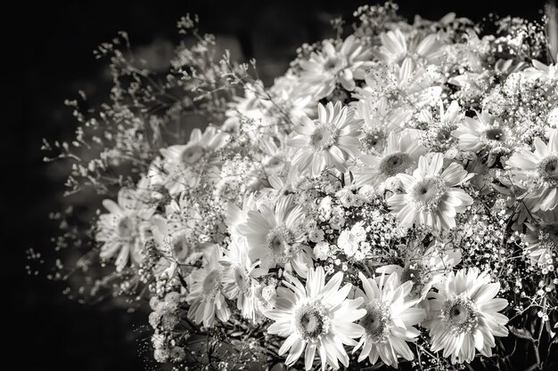 暗い背景にカスミソウの装飾が施された美しいカモミールの花の花束