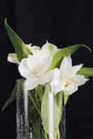 무료 사진 꽃병에 아름 다운 신선한 흰 꽃의 꽃다발