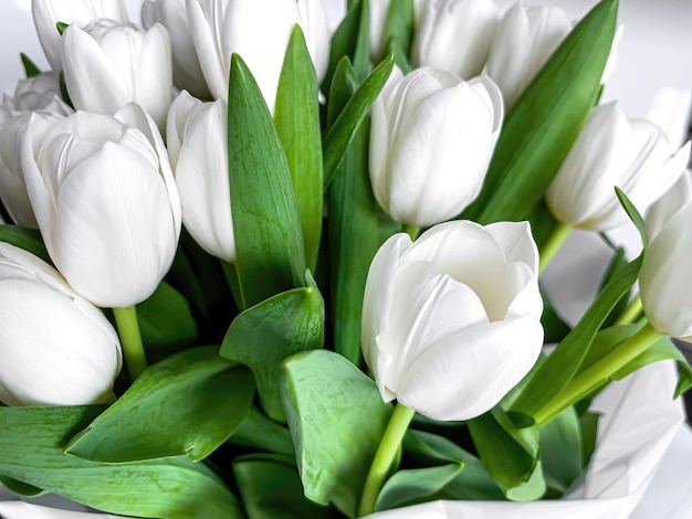 無料写真 美しい白いチューリップの花束をクローズ アップ