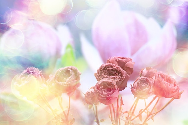 ピンクのバラの背景/休日のコンセプトの花束、美しいピンクの花の背景