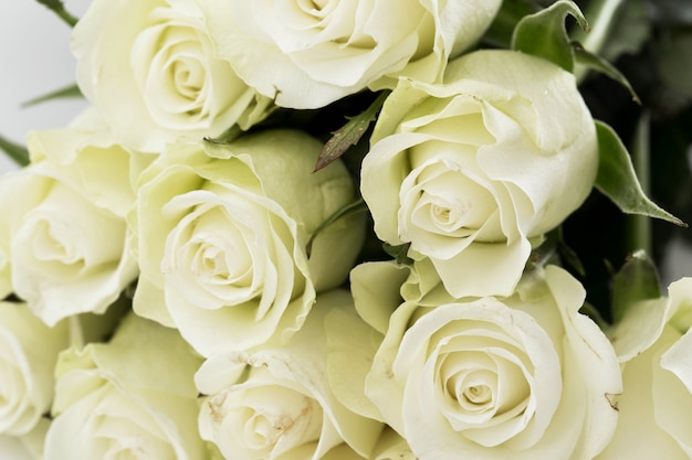 Бесплатное фото Букет белых роз