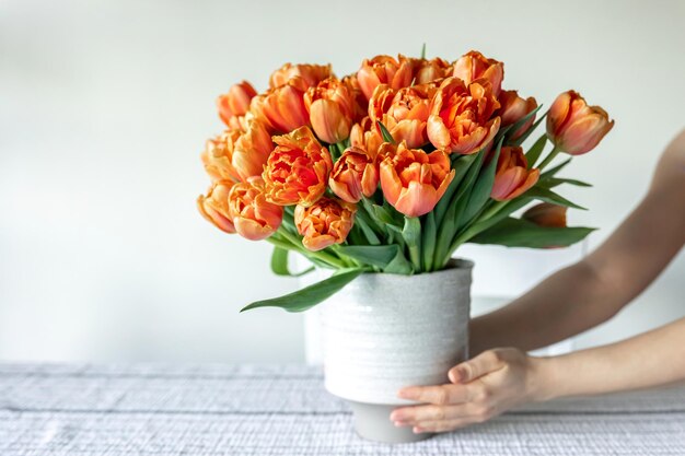Букет оранжевых тюльпанов в женских руках в интерьере комнаты крупным планом