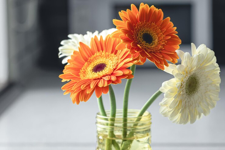Free Photo a bouquet of orange and white gerberas in a vase in a kitchen interior