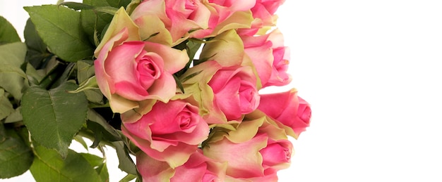 白のパノラマビューに分離されたピンクのバラの花束