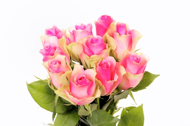 Bouquet of pink roses isolated on white