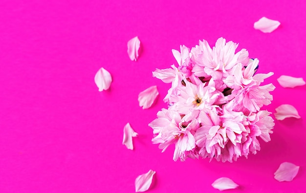 핑크 사쿠라 꽃의 꽃다발