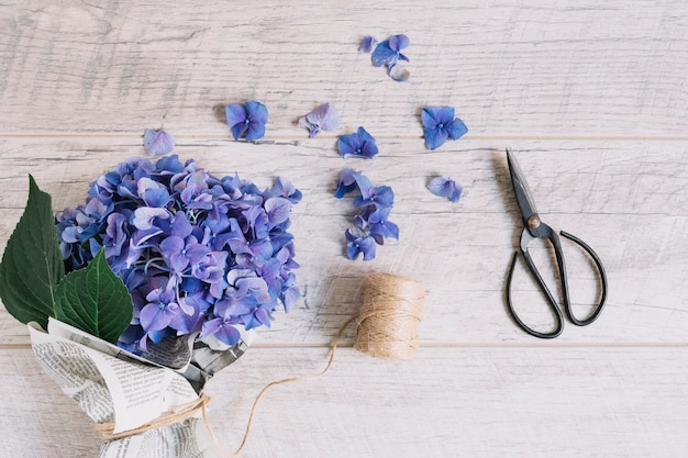 Bouquet of purple hydrangea flowers tied with spool and scissor on wooden table