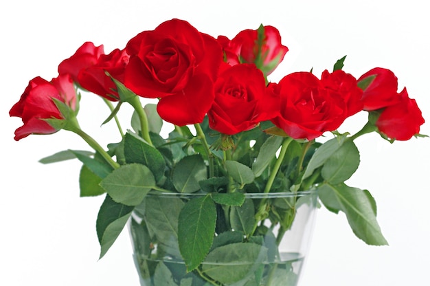 Bouquet di rose rosse in vaso di vetro su sfondo bianco