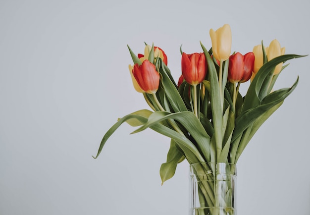 Bouquet of red and yellow roses on a white