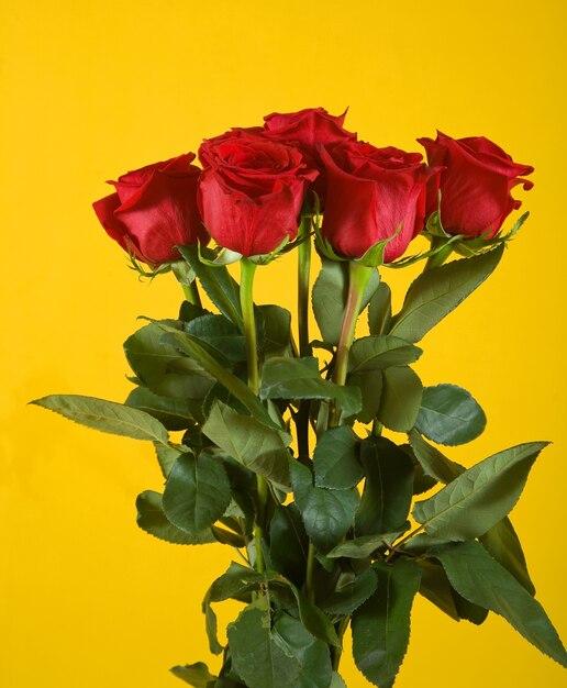 bouquet of scarlet roses