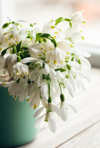 Free photo bouquet of snowdrops on a blurred background