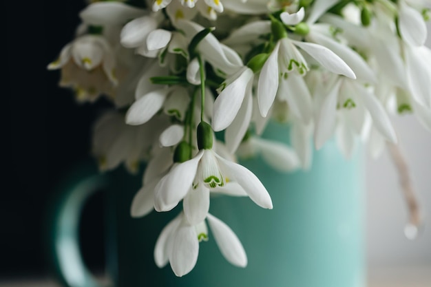 Free photo bouquet of snowdrops on a blurred background