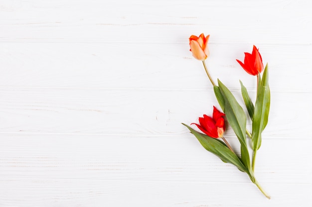 Foto gratuita bouquet di fiori di tulipano