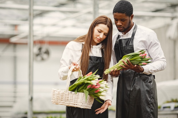 Bouquet of tulips in a guy. Guy and girl in a greenhouse. G.ardeners in aprons.