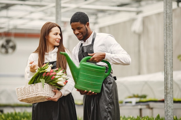 Bouquet of tulips in a guy. Guy and girl in a greenhouse. G.ardeners in aprons.