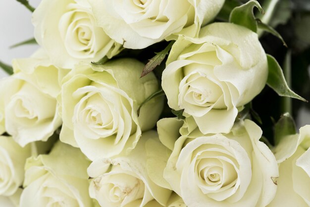 Bouquet of white roses