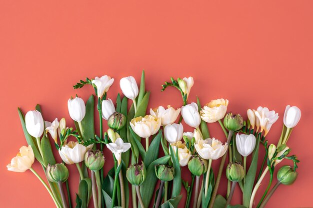 Букет белых тюльпанов на красном фоне плоско лежал