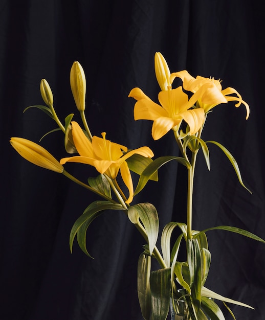 Bouquet of yellow flowers in darkness